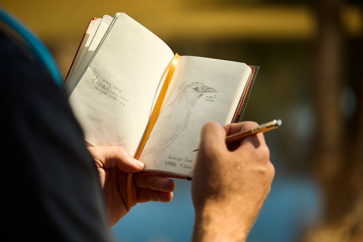 A person holding an open sketchbook in one hand with a pencil in the other, shown in a real outdoor environment with a blurred background. The person has sketched a bird illustration with notes about the bird.