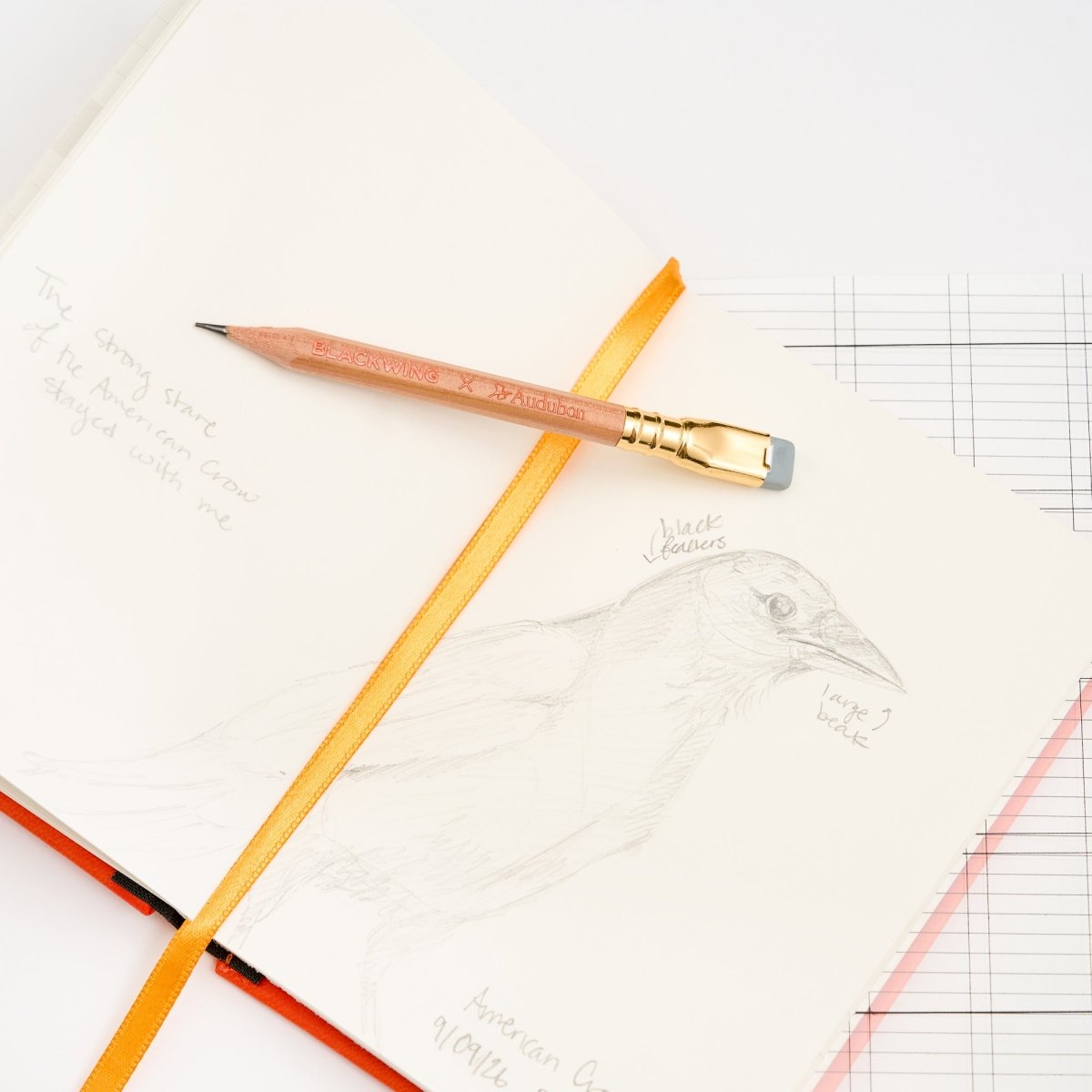 A close-up of an open sketchbook with a pencil drawing of a bird, with a yellow-orange bookmark ribbon and crossed by a Blackwing Natural short pencil with a gold ferrule and grey eraser.