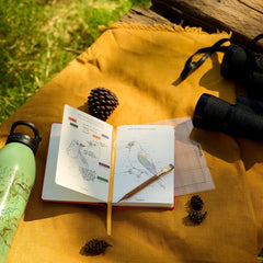An open sketchbook with bird illustrations with a sharpened wood pencil on top lies on a mustard yellow blanket outdoors, surrounded by a green water bottle, pinecones, a pencil, and black binoculars on a wooden surface.