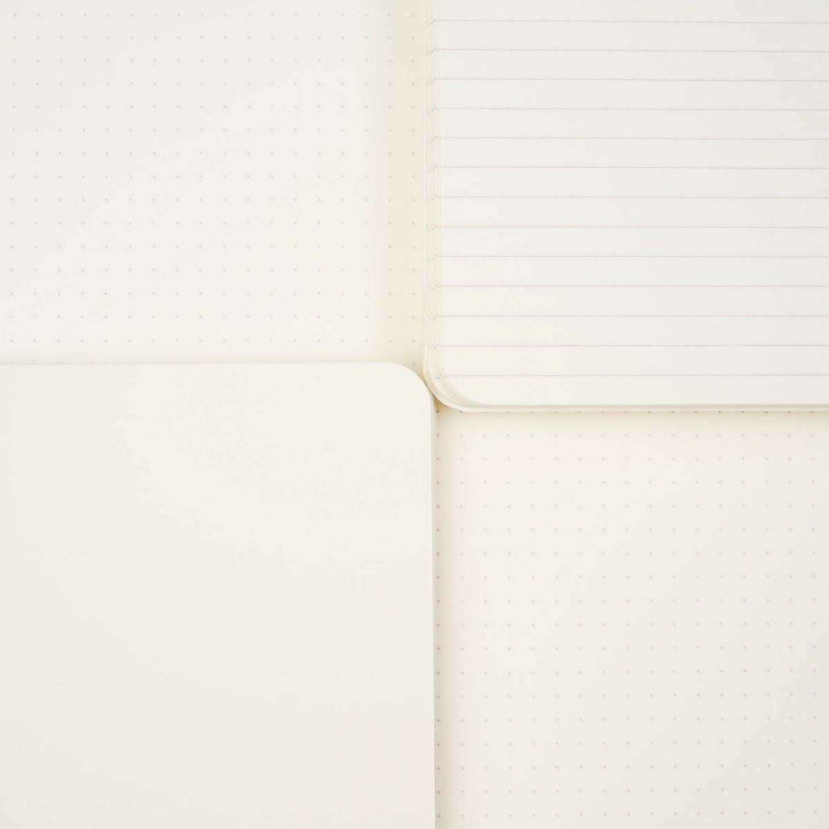 Close-up of a cream-colored notebook showing three page styles: a blank page, a lined page, and a dotted page.