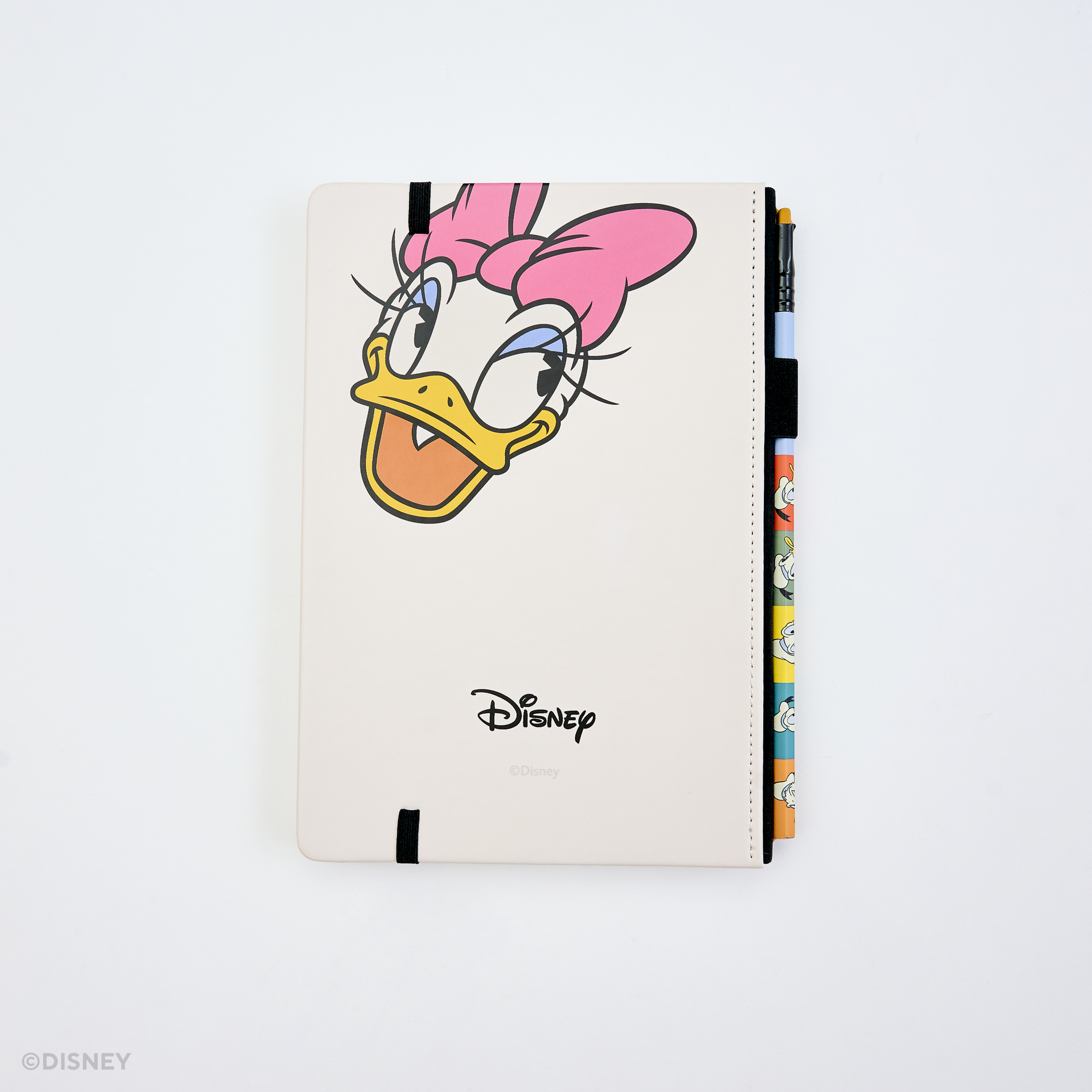 An off-white Disney notebook back cover featuring Daisy Duck's face and black elastic closure. The Disney logo is printed in black near the bottom, and a colorful matching pencil is in the pencil holster.